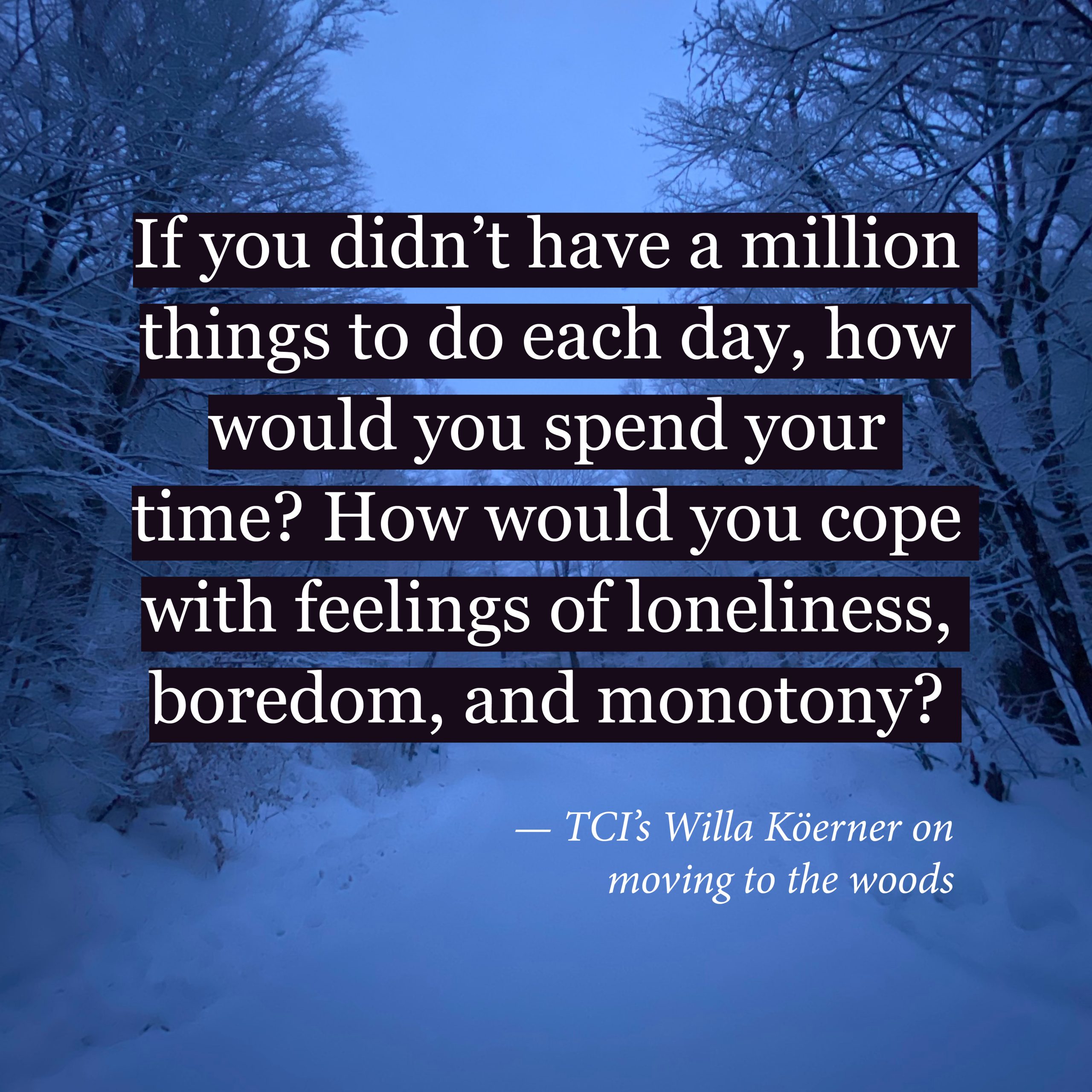 On moving to the woods – Willa Koerner